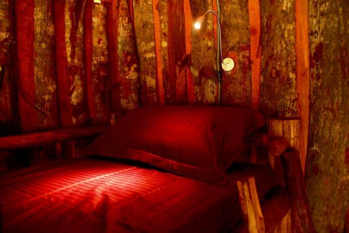 Imagen general del Hotel Nguyen Shack Phong Nha Central Town - Hostel. Foto 3