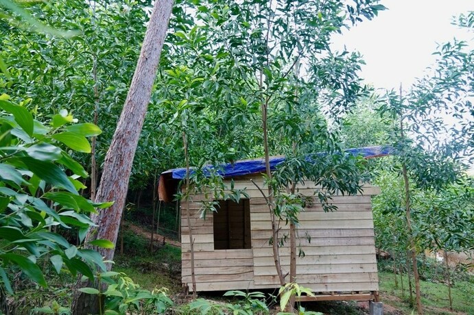 Imagen de la habitación del Hotel Nguyen Shack Phong Nha Eco Resort. Foto 7