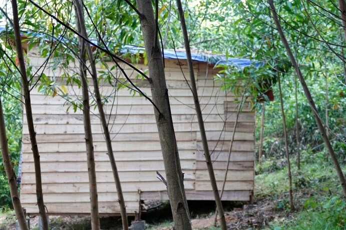 Imagen de la habitación del Hotel Nguyen Shack Phong Nha Eco Resort. Foto 10