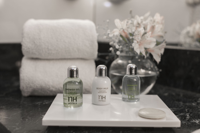 Imagen de la habitación del Hotel Nh Mendoza Cordillera. Foto 12