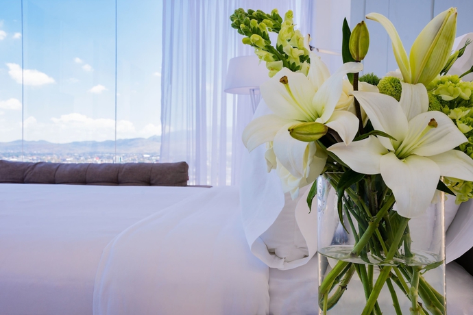 Imagen de la habitación del Hotel Nh San Luis Potosi. Foto 11