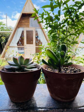 Imagen general del Hotel Nha cua Nep. Foto 3