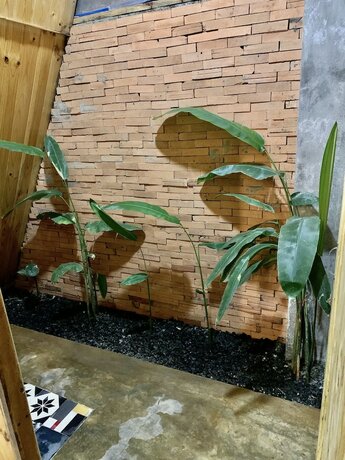 Imagen general del Hotel Nha cua Nep. Foto 5