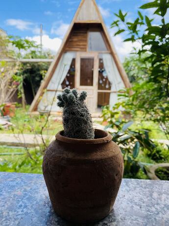 Imagen general del Hotel Nha cua Nep. Foto 6