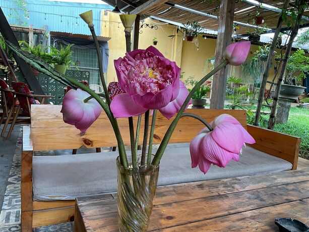 Imagen general del Hotel Nha cua Nep. Foto 8