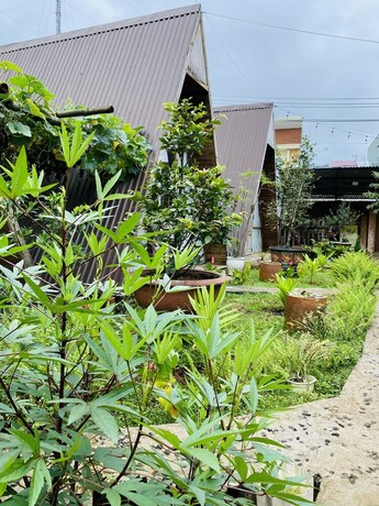 Imagen general del Hotel Nha cua Nep. Foto 13