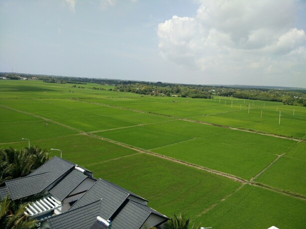 Imagen general del Hotel Nhat Minh. Foto 11