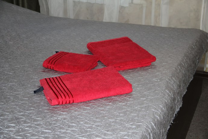 Imagen de la habitación del Hotel Niagara hotel, Samara. Foto 5