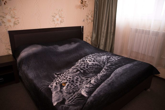 Imagen de la habitación del Hotel Niagara hotel, Samara. Foto 19