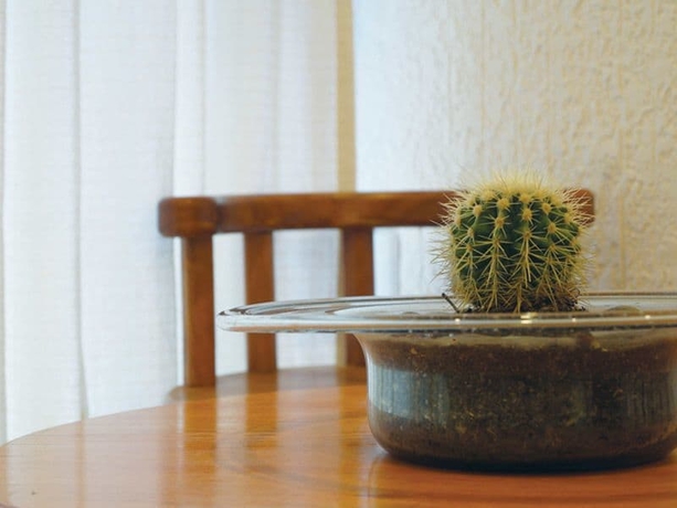 Imagen de la habitación del Hotel Nicalococ. Foto 6