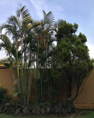 Imagen de los exteriores del Hotel Nican Mo Calli. Foto 13