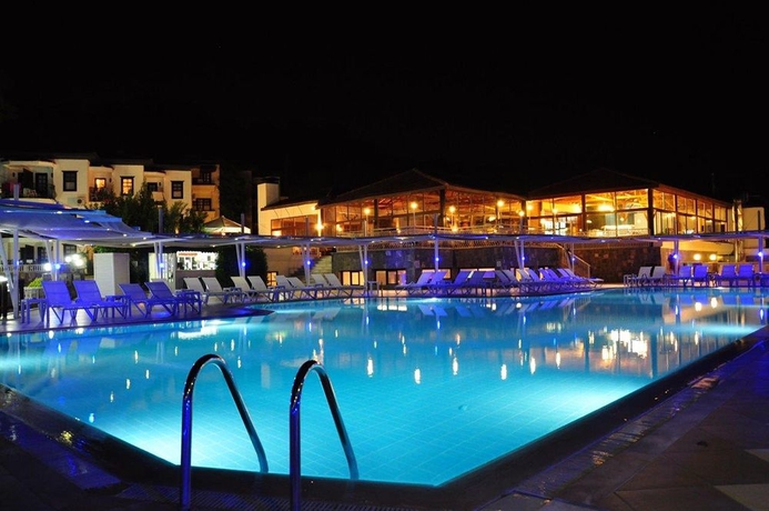Imagen de la piscina del Hotel Nicholas Park. Foto 12