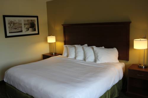 Imagen de la habitación del Hotel Nichols Inn & Suites. Foto 1