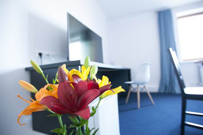 Imagen de la habitación del Hotel Nicola, Listvyanka. Foto 4