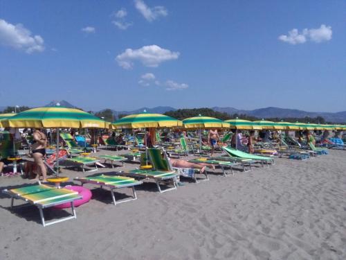 Imagen general del Hotel Nicola's Village - Dclub. Foto 5