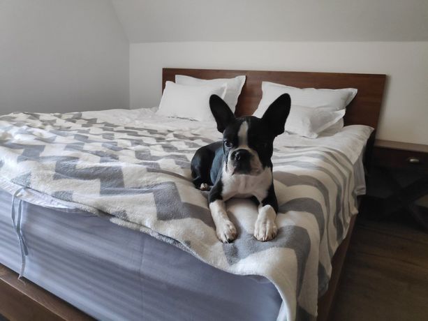 Imagen de la habitación del Hotel Nicole Kopaonik. Foto 2