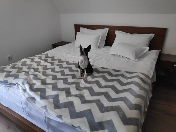 Imagen de la habitación del Hotel Nicole Kopaonik. Foto 3