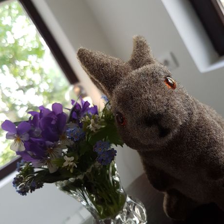 Imagen de los interiores del Hotel Nicole Kopaonik. Foto 18