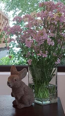 Imagen de los interiores del Hotel Nicole Kopaonik. Foto 19