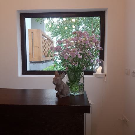 Imagen de los interiores del Hotel Nicole Kopaonik. Foto 20