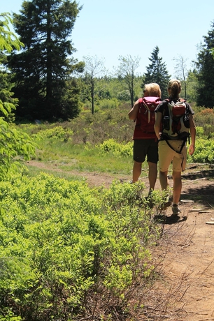 Imagen general del Hotel Niedersfeld. Foto 2