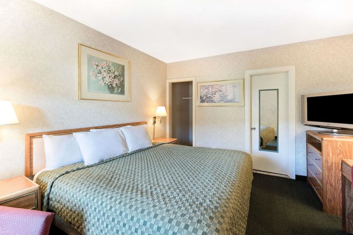 Imagen de la habitación del Hotel Night Lodge. Foto 13