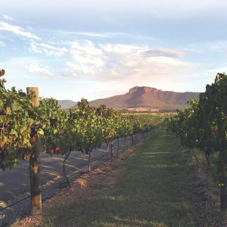 Imagen general del Hotel Nightingale Luxury Villas. Foto 6