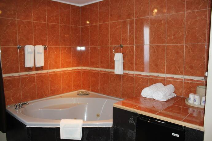 Imagen de la habitación del Hotel Nights Inn Owen Sound. Foto 14
