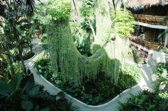 Imagen de los interiores del Hotel Nigi Nigi Nu Noos &ldquo;e&rdquo; Nu Nu Noos. Foto 11