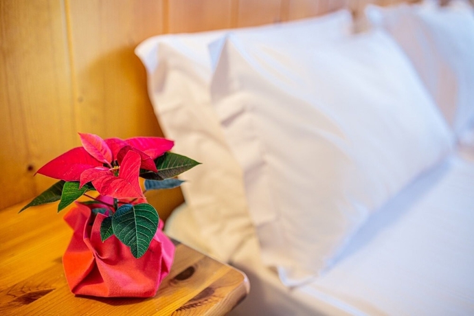 Imagen de la habitación del Hotel Nigritella. Foto 12