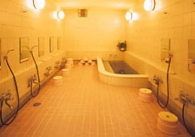 Imagen general del Hotel Nihonkan. Foto 11