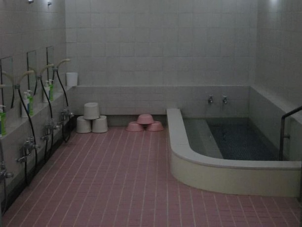 Imagen general del Hotel Nihonkan. Foto 13