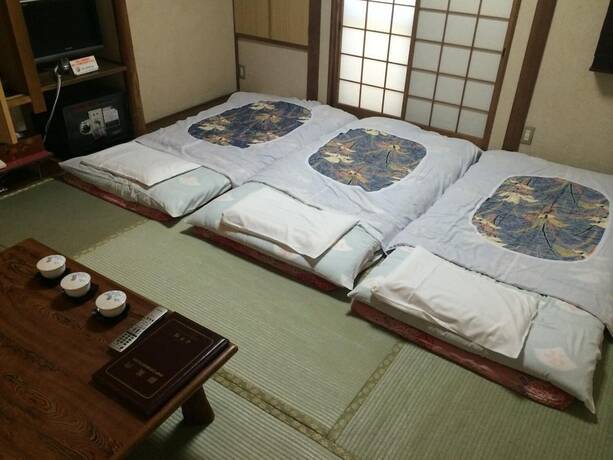 Imagen de la habitación del Hotel Nihonkan. Foto 22