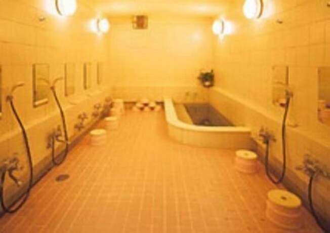 Imagen de la piscina del Hotel Nihonkan. Foto 31