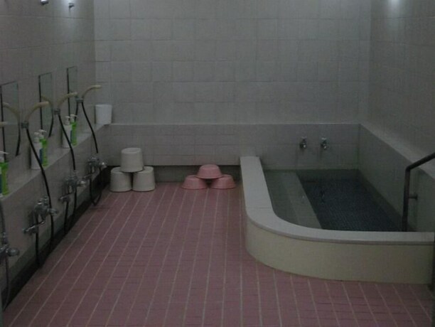 Imagen de la piscina del Hotel Nihonkan. Foto 32