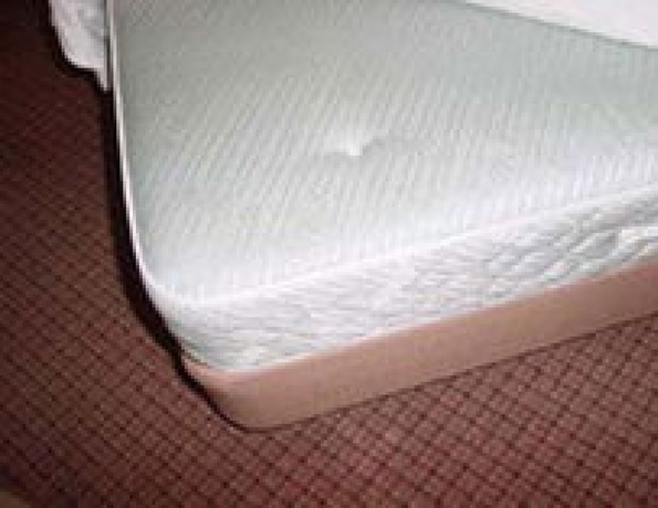 Imagen de la habitación del Hotel Niigata City. Foto 12