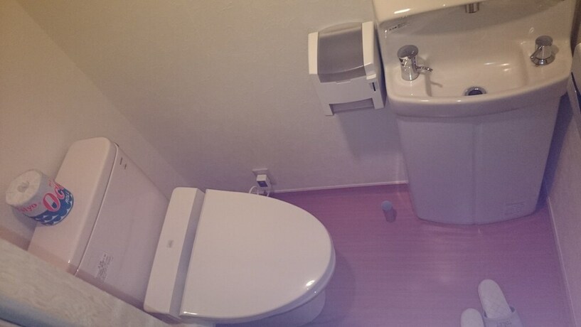 Imagen de la habitación del Hotel Nikko Hoshinoyado. Foto 19