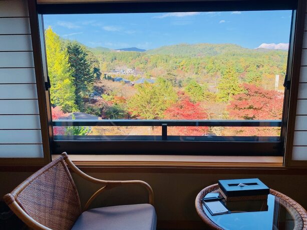 Imagen de la habitación del Hotel Nikko Hoshinoyado. Foto 21