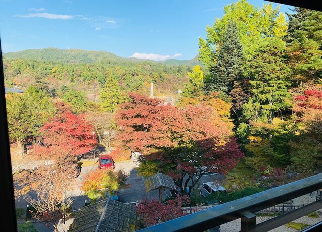 Imagen de la habitación del Hotel Nikko Hoshinoyado. Foto 27
