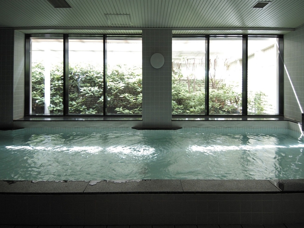 Imagen de la piscina del Hotel Nikko Nara. Foto 16