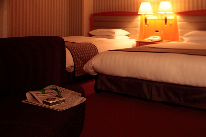 Imagen de la habitación del Hotel Nikko Nara. Foto 11