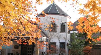Imagen de la habitación del Hotel Nikko Park Lodge Mountainside. Foto 7