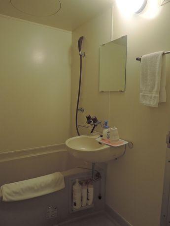 Imagen de la habitación del Hotel Nikko Park Lodge Tobu Station. Foto 12