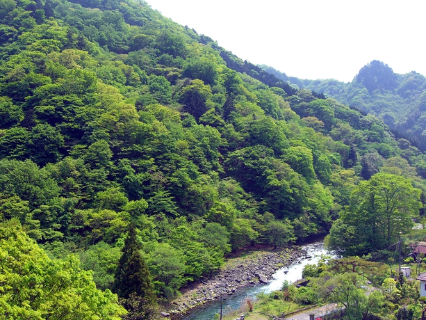 Imagen de la habitación del Hotel Nikko Senhime Monogatari. Foto 5