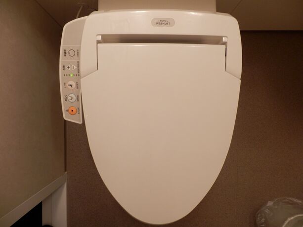 Imagen de la habitación del Hotel Nikko Station Classic. Foto 12