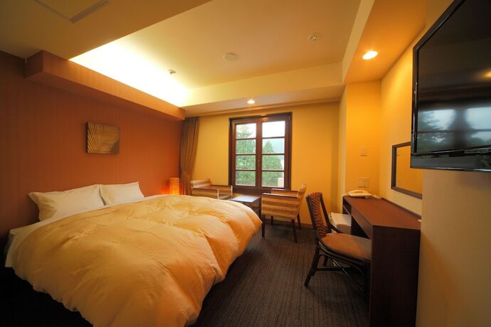 Imagen de la habitación del Hotel Nikko Station Classic. Foto 15