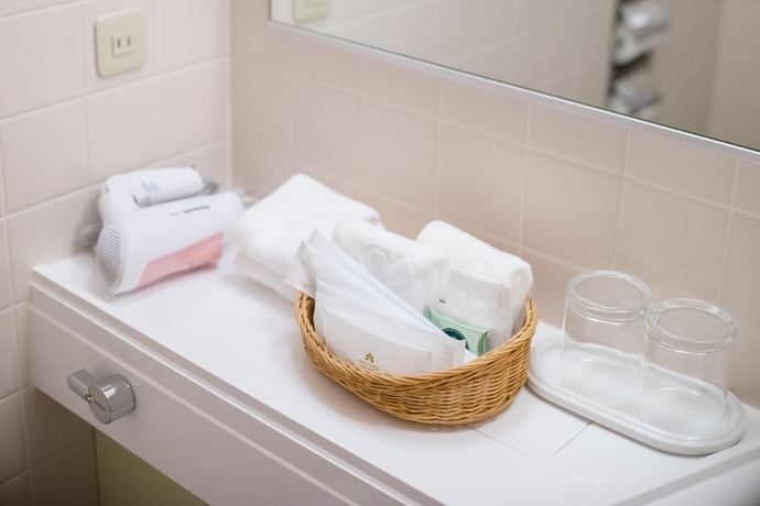 Imagen de la habitación del Hotel Nikko Tachikawa Tokyo. Foto 7