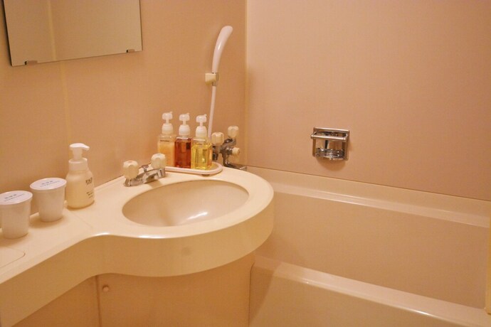 Imagen de la habitación del Hotel Nikko Tokino Yuu. Foto 19