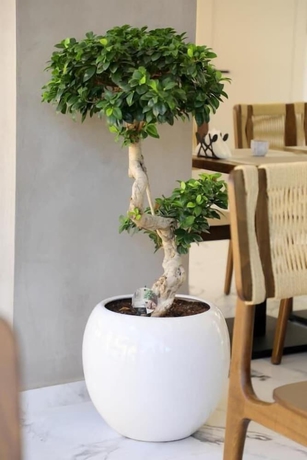 Imagen de los interiores del Hotel Niklas Boutique. Foto 15