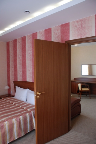 Imagen de la habitación del Hotel Nikol Business. Foto 7